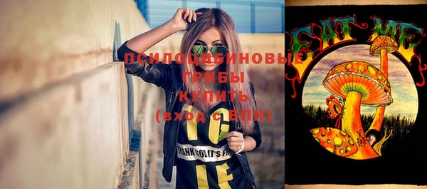 тгк Алзамай